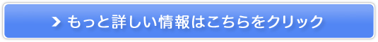 CeAG݃VbvyFAVORRICz̔TCg